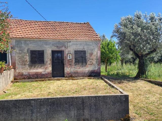 Casa venda em Rego Da Murta, Santarém