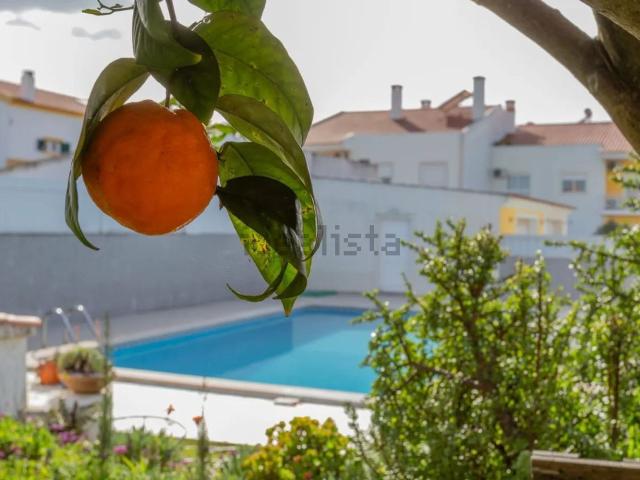 Casa venda em Azeitão (São Lourenço e São Simão), Setúbal