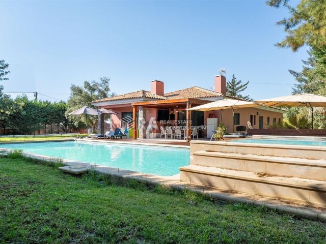 Casa venda em Azeitão (São Lourenço e São Simão), Setúbal
