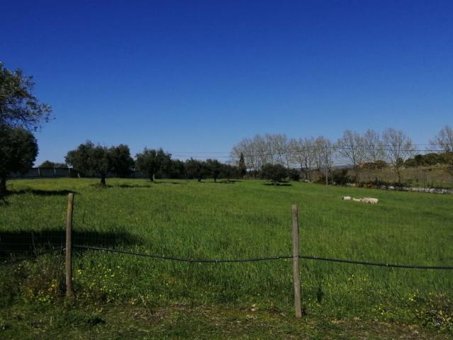 Casa venda em Santarém