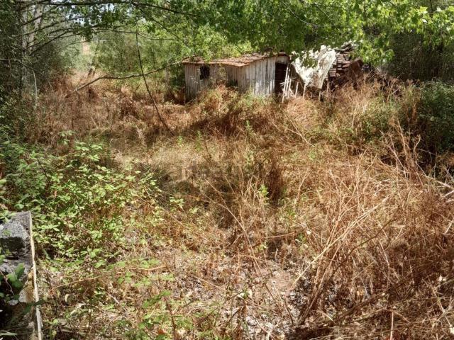 Casa venda em Casais da Charneca, Santarém