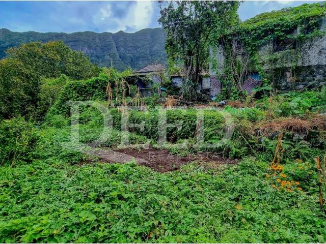 Casa venda em São Vicente, Ilha Da Madeira