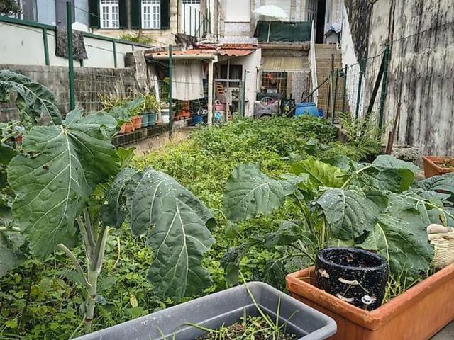 Casa venda em Porto