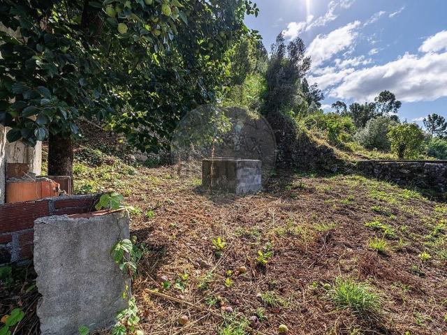 Casa venda em Bouro (Santa Maria), Amares