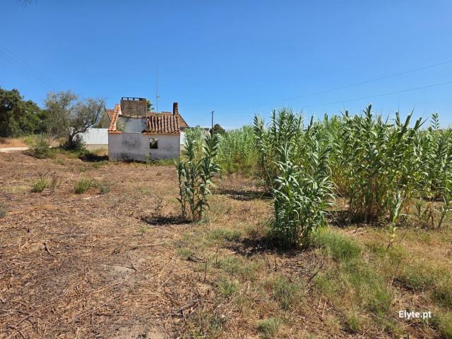 Casa venda em Coruche, Santarém