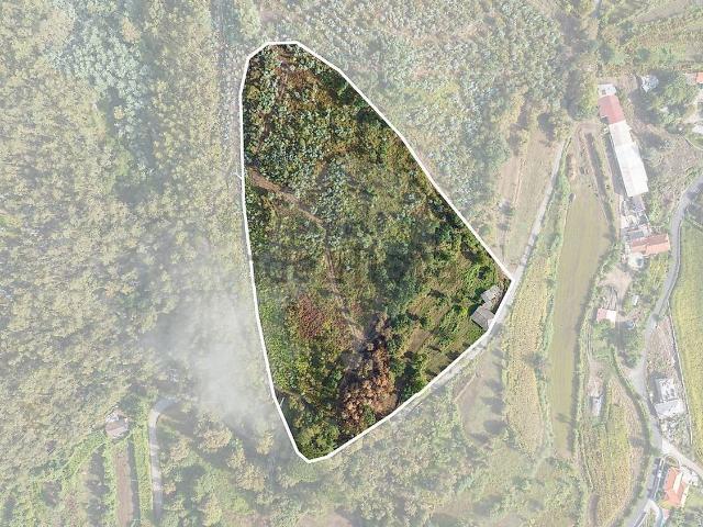 Casa venda em Briteiros (Santa Leocádia), Guimarães