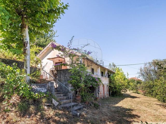 Casa venda em Celorico De Basto, Braga