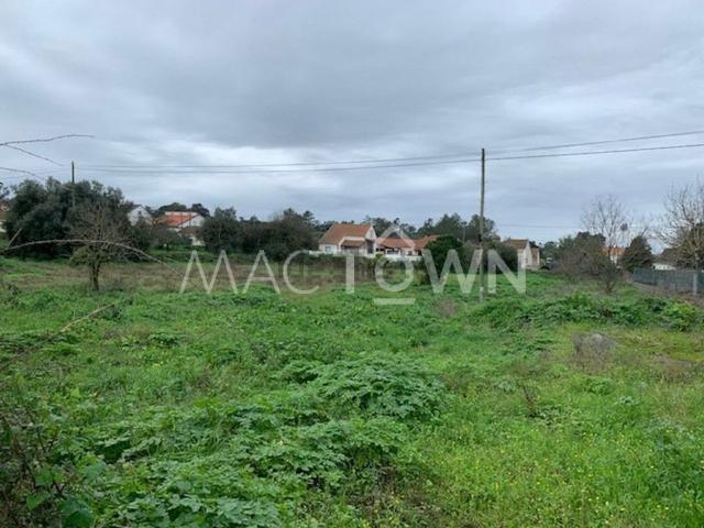 Casa venda em Parceiros de São João, Torres Novas