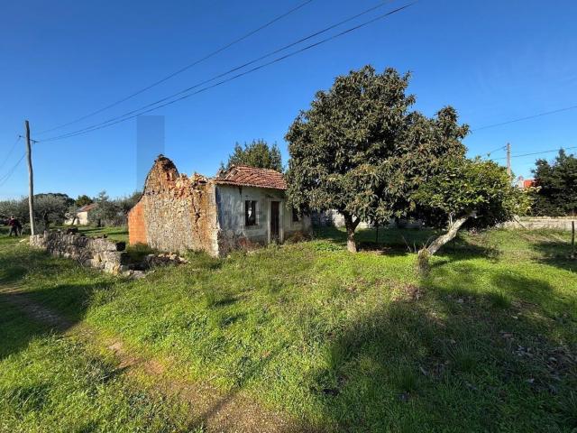 Casa venda em Parceiros de São João, Torres Novas