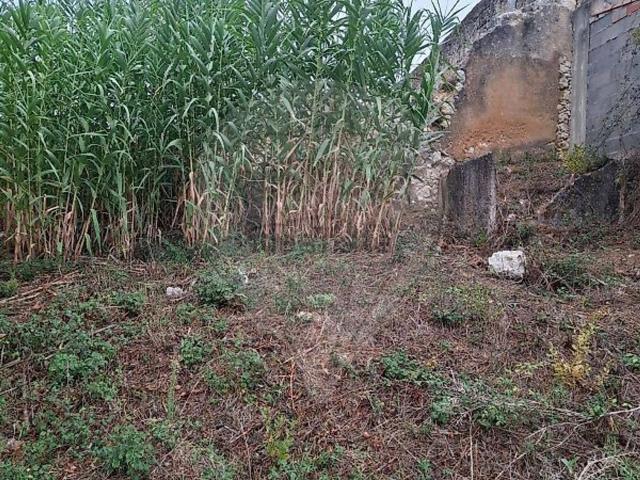 Casa venda em Brogueira, Parceiros de Igreja e Alcorochel, Torres Novas