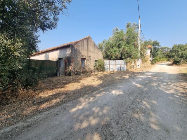 Casa venda em Torres Novas, Santarém