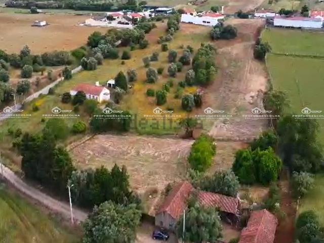 Casa venda em Torres Novas, Santarém