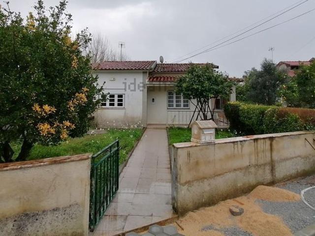 Casa venda em Bustos, Troviscal e Mamarrosa, Oliveira do Bairro