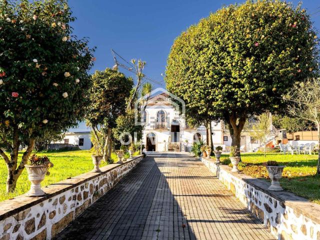Casa venda em Cabreiros e Passos (São Julião), Braga