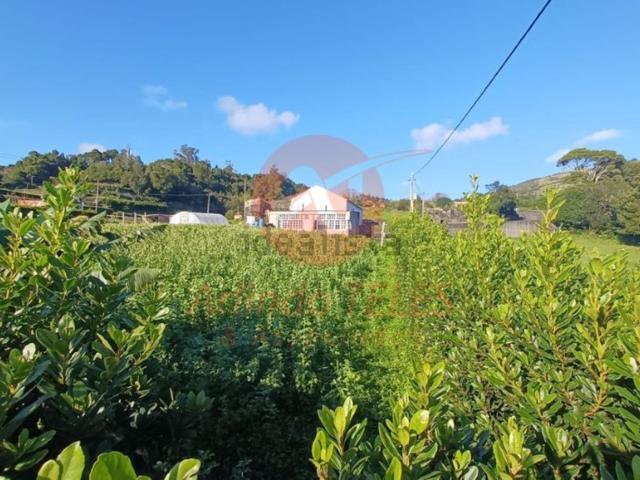 Moradia venda em Calheta