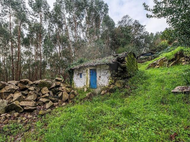 Casa venda em Póvoa De Lanhoso, Braga