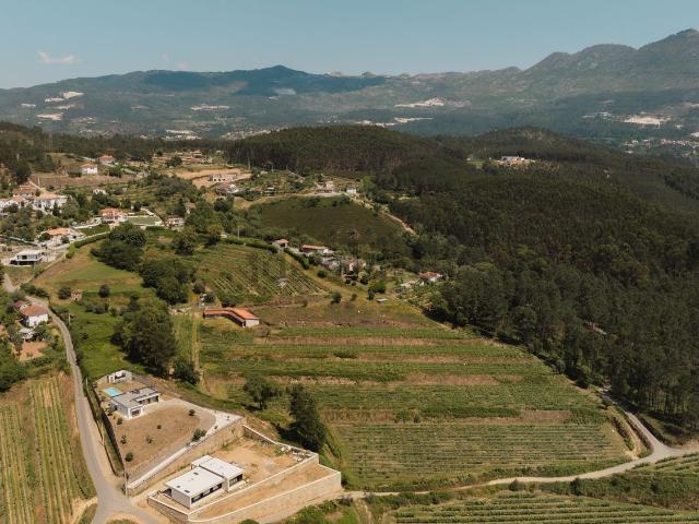 Casa venda em Cerdeirinhas, Celorico De Basto