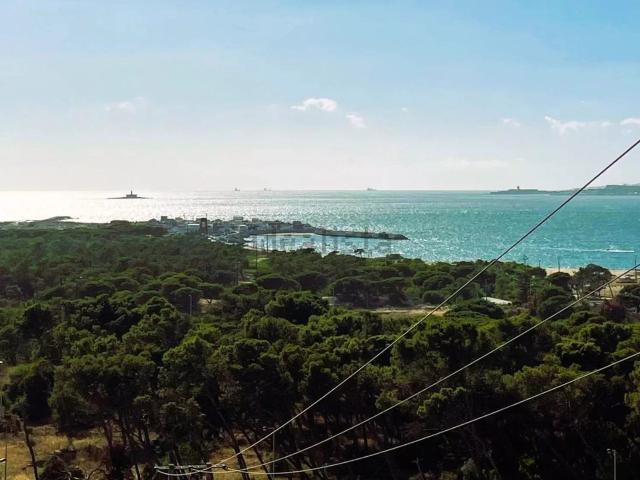 Casa venda em São João da Caparica, Almada