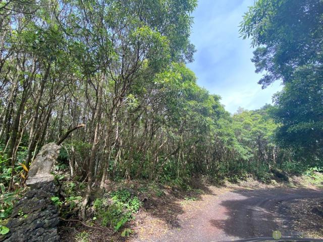 Casa venda em Açores