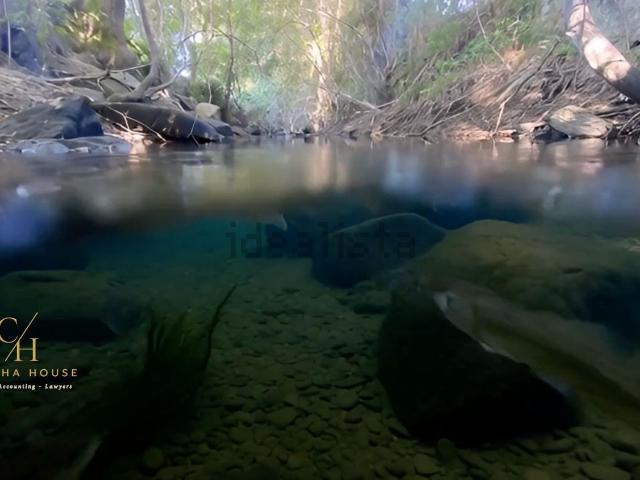 Casa venda em Castelo Branco, Caria