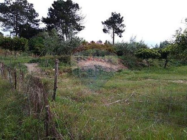 Casa venda em Chamusca, Santarém