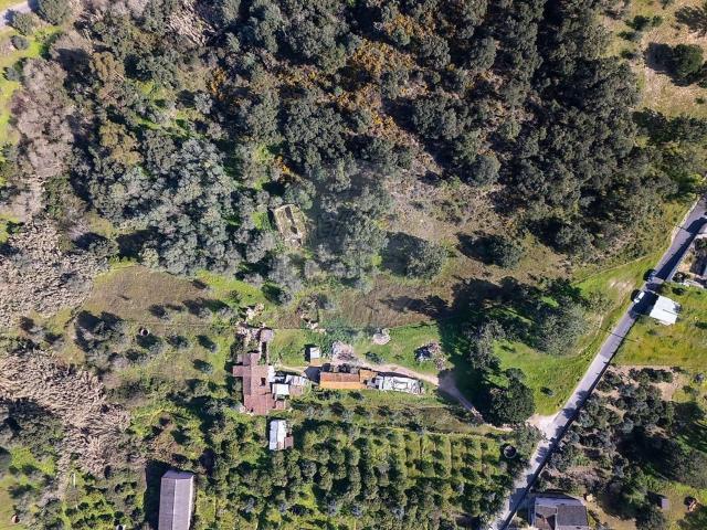 Casa venda em Arripiado, Chamusca