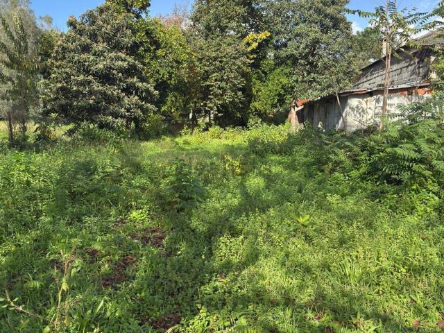 Casa venda em Monte Maior, Vila Verde