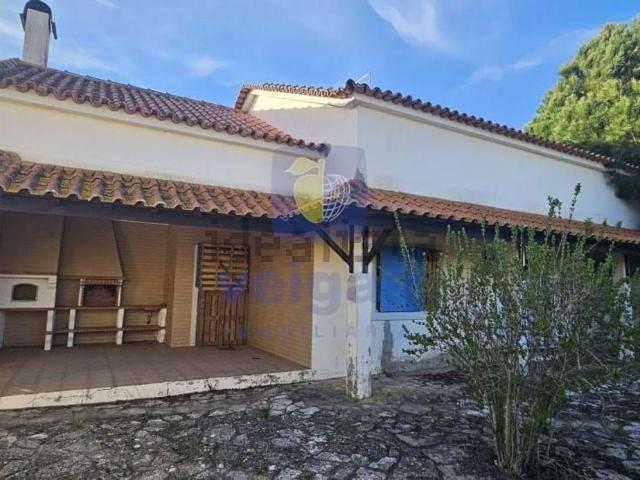 Casa venda em Cartaxo e Vale da Pinta, Cartaxo