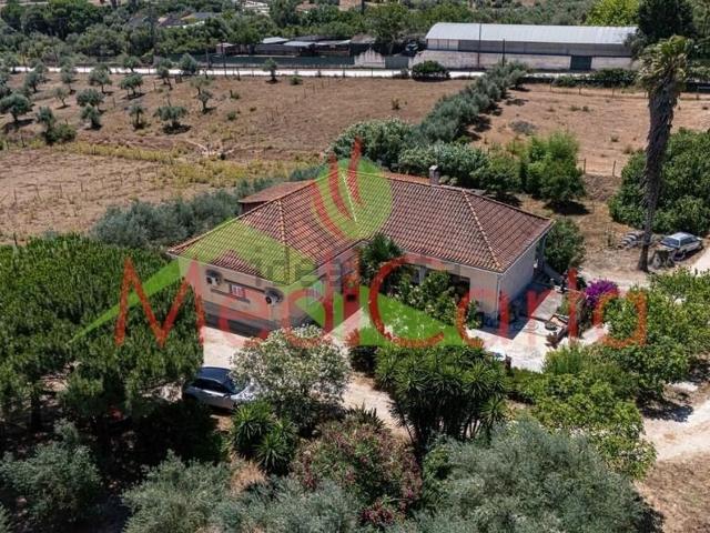 Casa venda em Cartaxo e Vale da Pinta, Cartaxo
