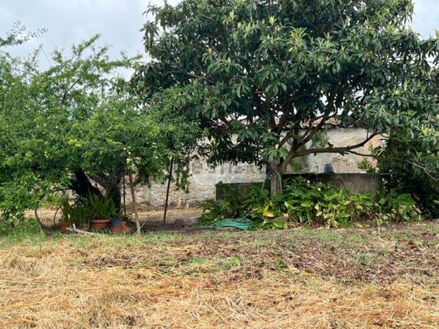 Casa venda em Bombarral, Leiria