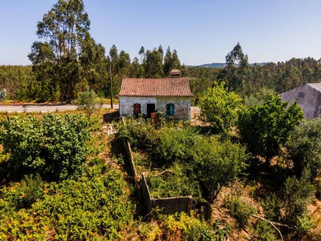 Casa venda em Abrantes, Santarém