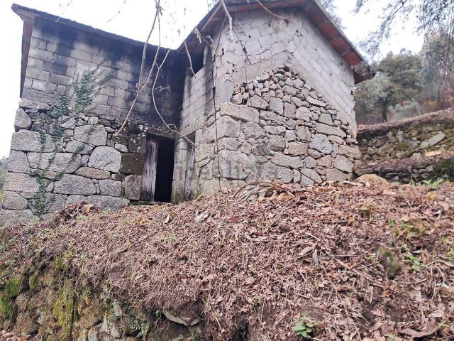 Casa venda em Celorico De Basto, Braga