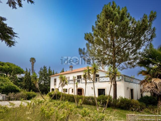 Casa venda em Baleia, Mafra