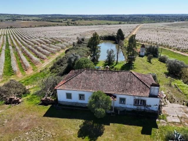 Terreno venda em Castelo Branco, Idanha-a-nova