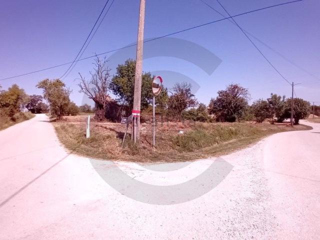 Casa venda em Casével e Vaqueiros, Santarém