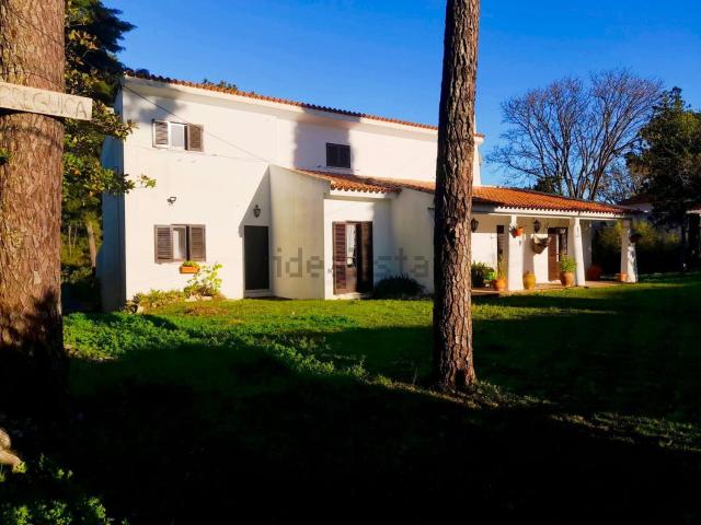 Casa venda em Sesimbra (Castelo), Sesimbra
