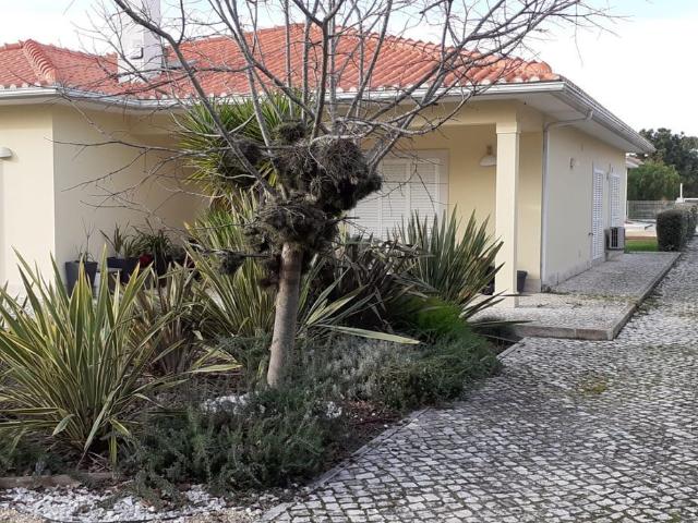 Casa venda em Sesimbra (Castelo), Sesimbra