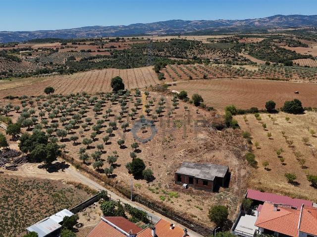 Casa venda em Mogadouro, Bragança