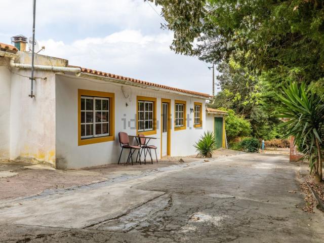 Casa venda em Alcobaça, Leiria