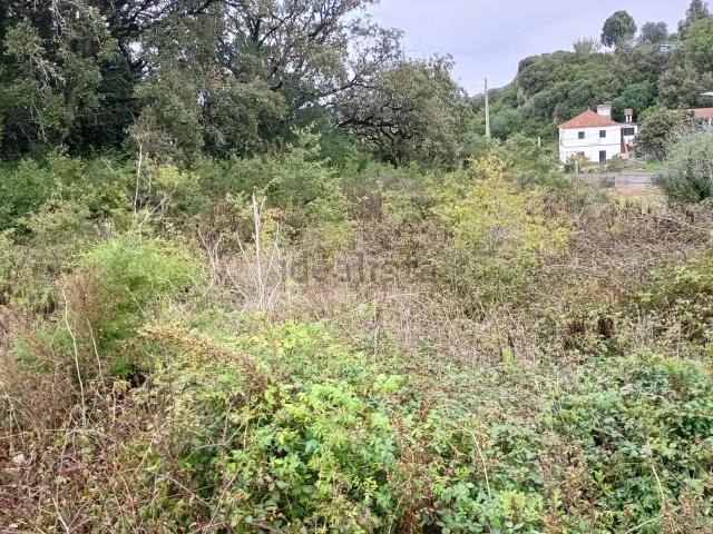 Casa venda em Alcobaça, Leiria