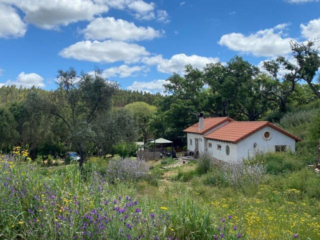 Casa venda em Cercal, Santiago Do Cacém