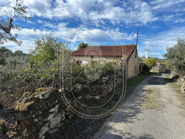 Casa venda em Rego Da Murta, Santarém