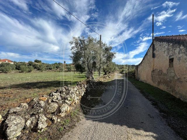 Casa venda em Rego Da Murta, Santarém
