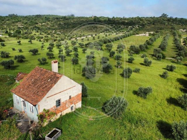 Casa venda em Rego Da Murta, Santarém