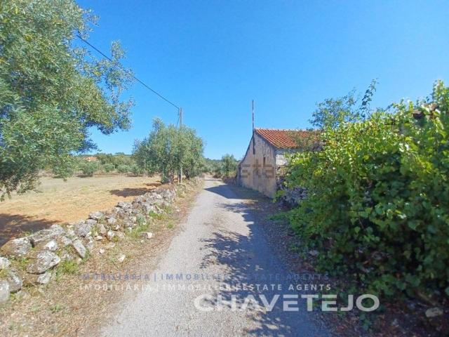 Casa venda em Rego Da Murta, Santarém