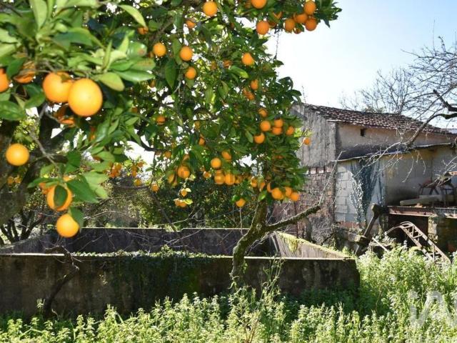 Casa venda em Almogadel, Rego Da Murta