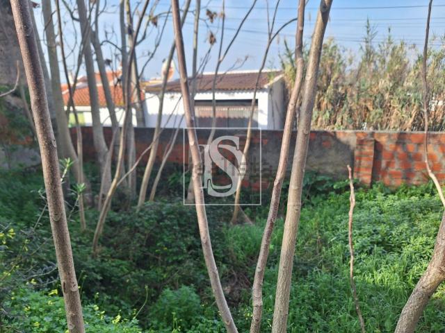 Casa venda em Chamusca e Pinheiro Grande, Chamusca