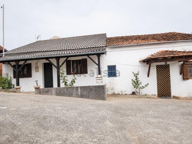 Casa venda em Torres Novas, Santarém
