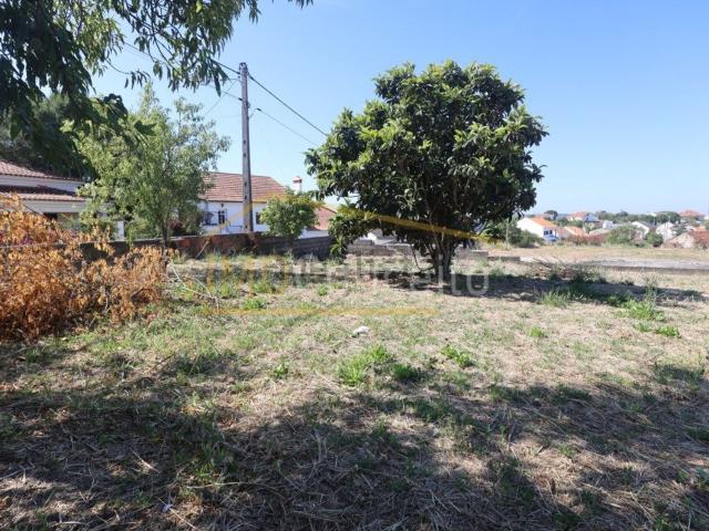 Casa venda em Torres Novas, Santarém