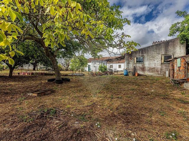 Casa venda em Santarém